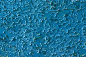 Paint and Texture in Edmonton