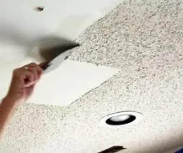 Complete Ceiling Transformation Services